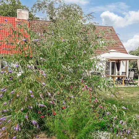 In With Wifi Апартаменты *