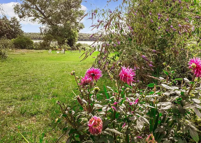 In With Wifi * Wolin